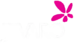 Jivaro Search